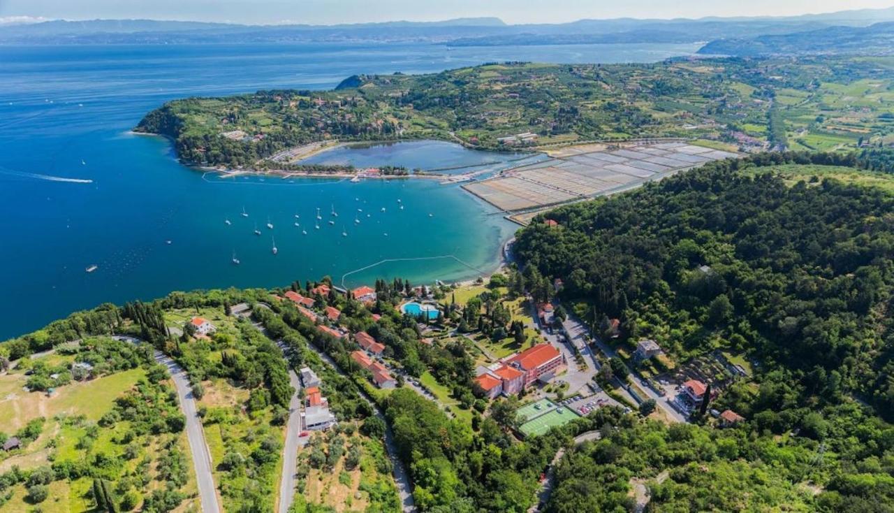 Dino Studio And Room Apartments Portorož Kültér fotó